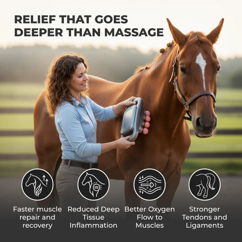 Marlowe's Dual Therapy Horse Massager