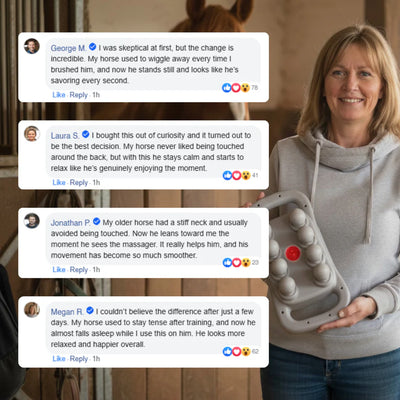 Marlowe's Dual Therapy Horse Massager