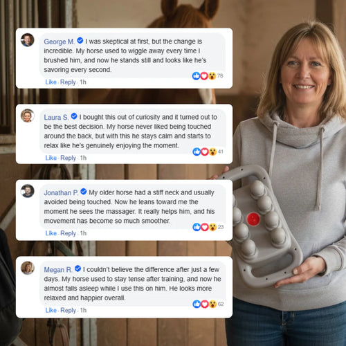 Marlowe's Dual Therapy Horse Massager