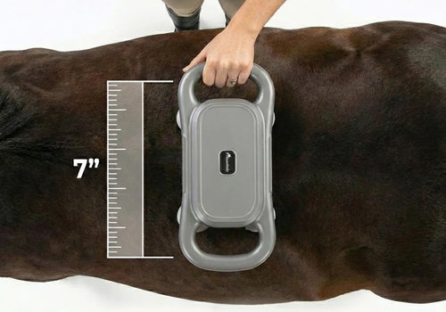 Marlowe's Dual Therapy Horse Massager