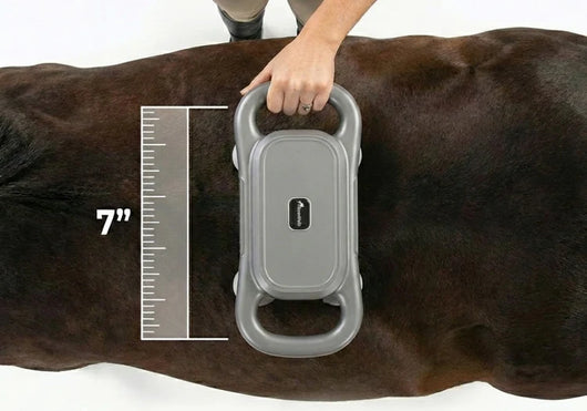 Marlowe's Dual Therapy Horse Massager