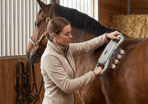 Marlowe's Dual Therapy Horse Massager