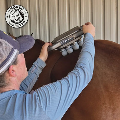 Marlowe's Dual Therapy Horse Massager